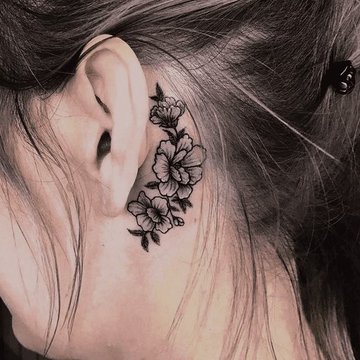 1e0b53a53ce26aa8c00f5e3ccdf63122