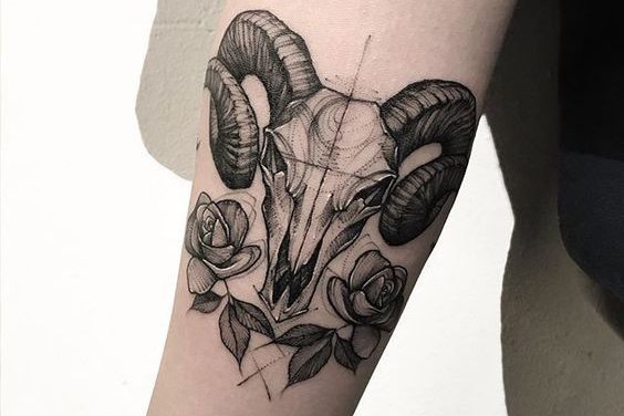 3b41658d92767d18263f6373bef86d88