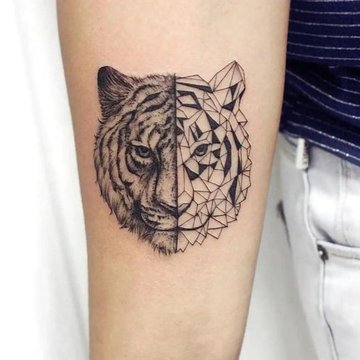 416320c08e1b48e8fd9beffe9b442008