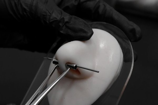 468356123_17950860476883575_8636316750303995851_n