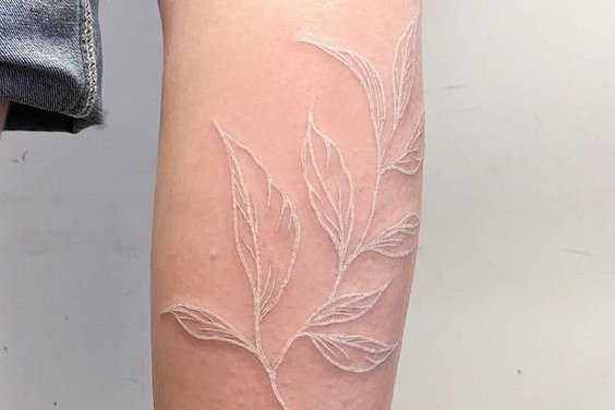 486735ea04ef122a0ff6d9a3aad4676b