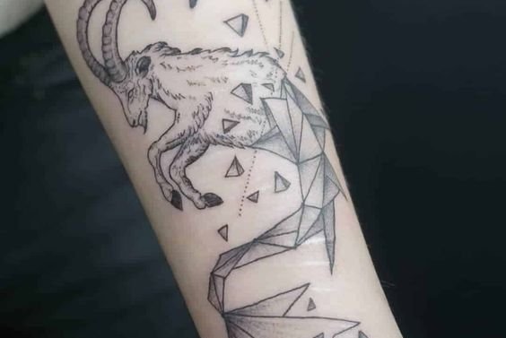 6b090f358bc083638d10af5e3f52229e