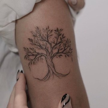 76f9f5486e49772e9be5dc6389baca2d