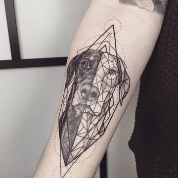 bafd083810c1482ed0f3a5eea44a29af