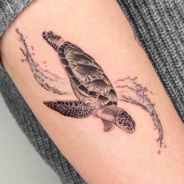 черепаха (18)