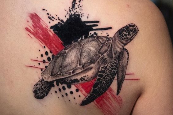 черепаха (3)