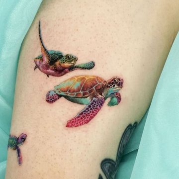 черепаха (30)