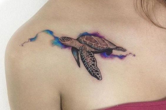 черепаха (32)