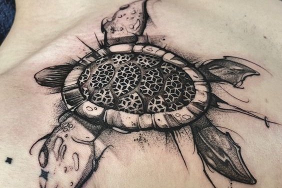 черепаха (33)