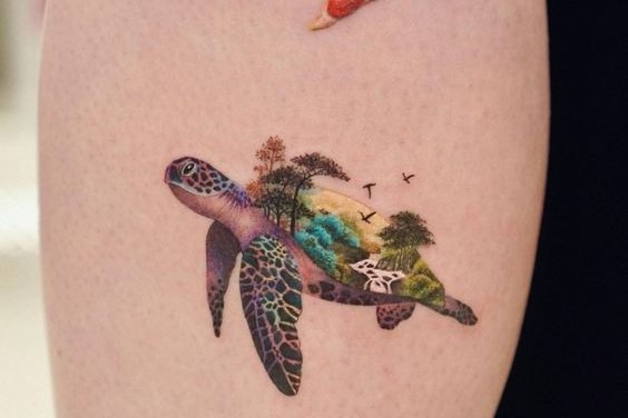 черепаха (4)