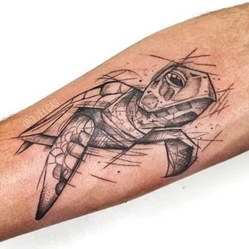 черепаха (7)