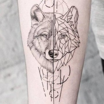 d3fa4e3ba192208af0dfc94cb53a7d5b