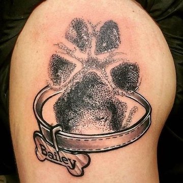 лапы кошка, собака (37)