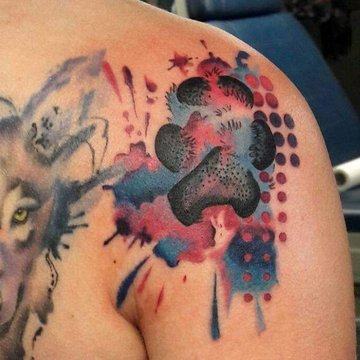 лапы кошка, собака (20)