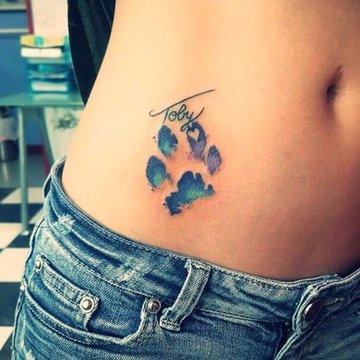 лапы кошка, собака (22)