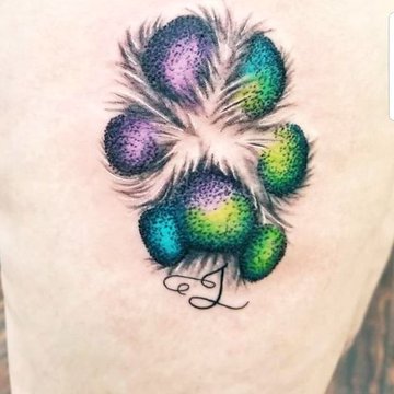 лапы кошка, собака (19)