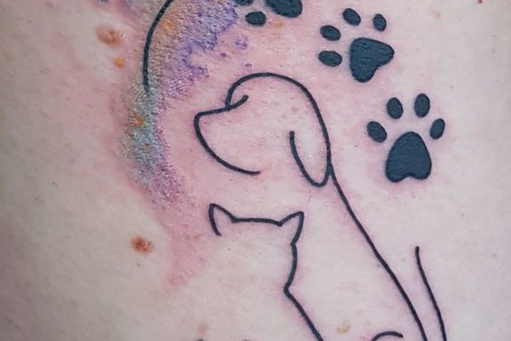 лапы кошка, собака (29)