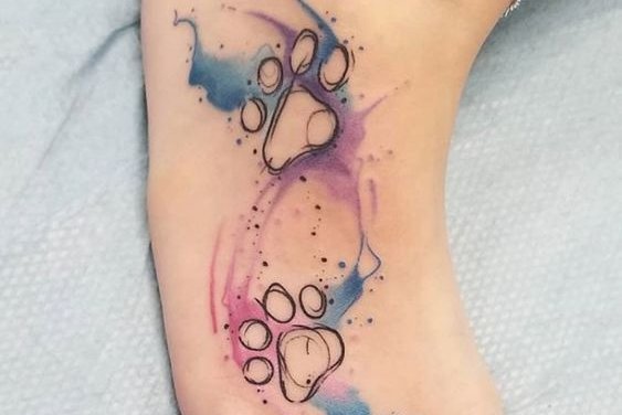 лапы кошка, собака (36)