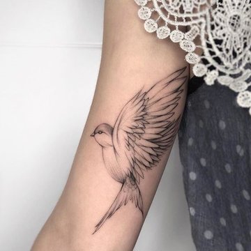 ласточка (39)