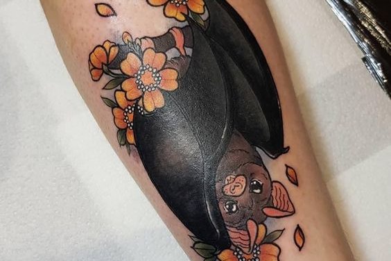 летучая мышь (46)