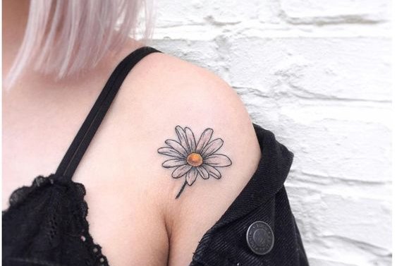 маргаритка (1)