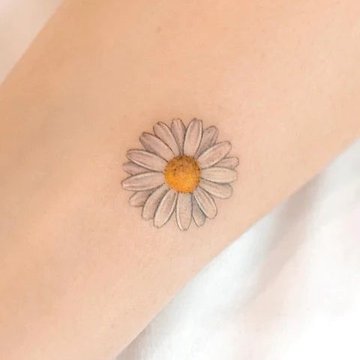 маргаритка (20)