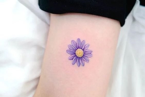 маргаритка (26)