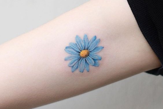 маргаритка (8)