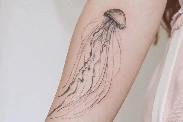 медуза (3)