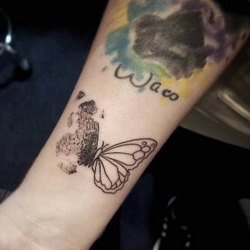 отпечаток пальца (12)