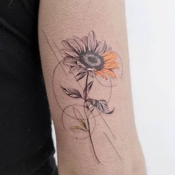 подсолнух (2)