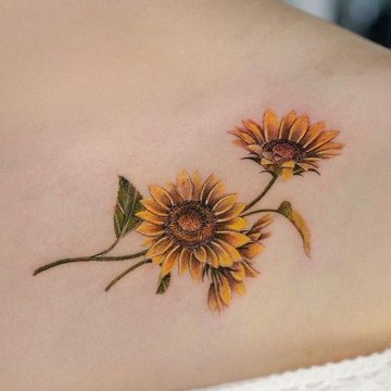 подсолнух (29)