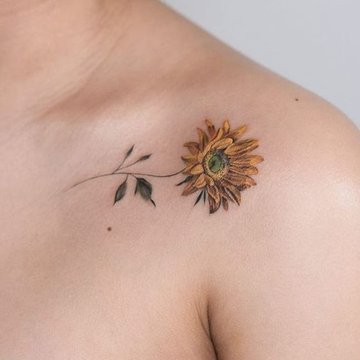 подсолнух (40)