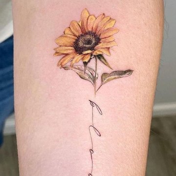 подсолнух (41)