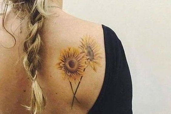 подсолнух (47)