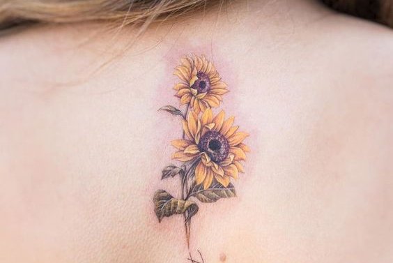 подсолнух (5)