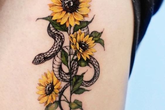 подсолнух (6)