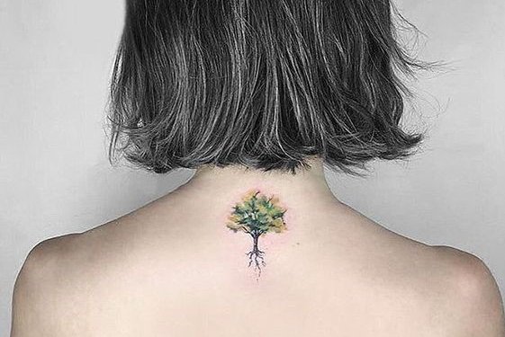 семейное дерево (14)