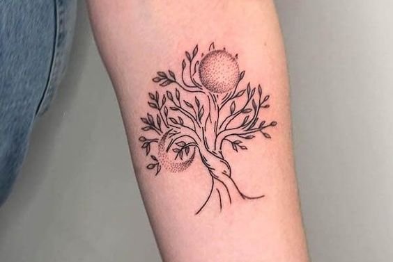 семейное дерево (24)