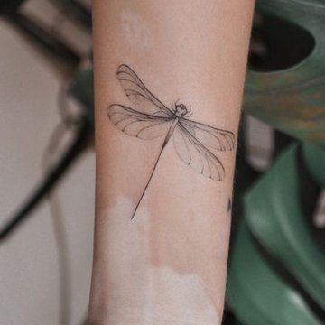 стрекоза (1)