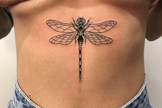 стрекоза (11)