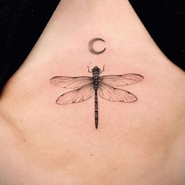 стрекоза (14)