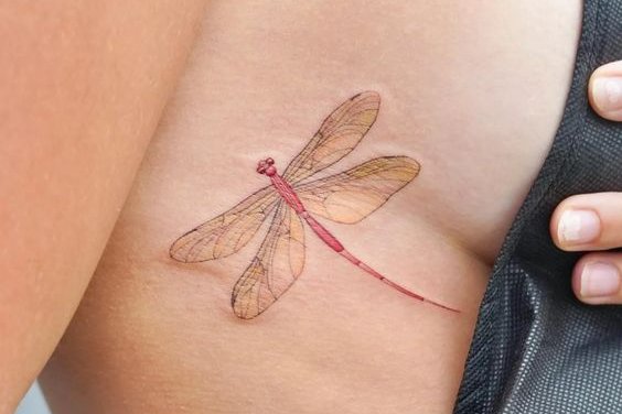 стрекоза (17)