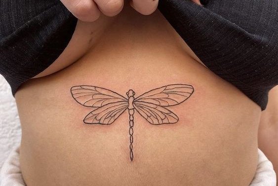 стрекоза (21)