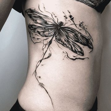 стрекоза (23)