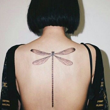 стрекоза (25)