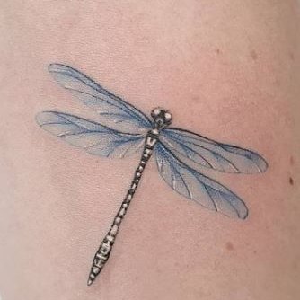 стрекоза (27)