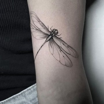 стрекоза (3)