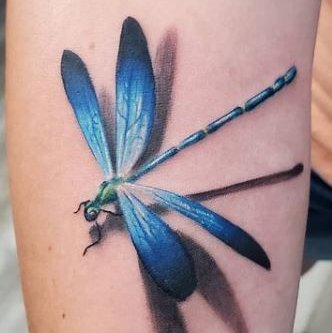 стрекоза (34)