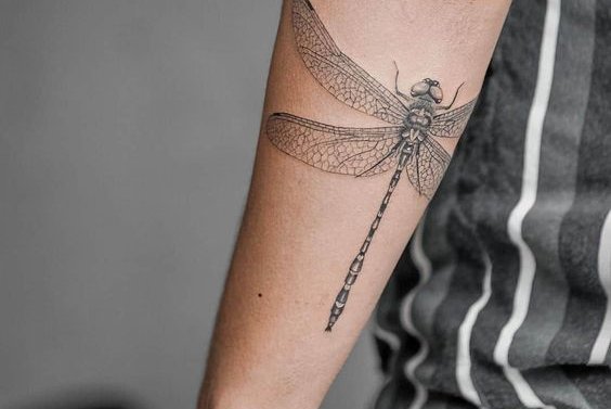 стрекоза (35)